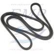 Cinghia Mercruiser 879150067