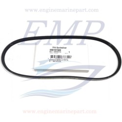 Cinghia idroguida Mercruiser 898101580, 8M0205219