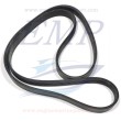 Cinghia Mercruiser 8M0066971
