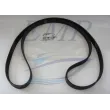 Cinghia alternatore Mercruiser 879172120
