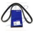 Cinghia servizi Volvo Penta 38124159, 21951188