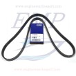 Cinghia servizi Volvo Penta 21407026