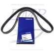 Cinghia servizi Volvo Penta 3809625