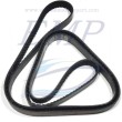 Cinghia servizi Volvo Penta 21132385