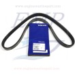 Cinghia servizi Volvo Penta 3812145, 21314684