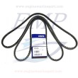 Cinghia servizi Volvo Penta 976492