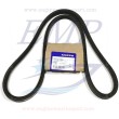 Cinghia servizi Volvo Penta 3852106