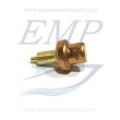 Termostato Johnson, Evinrude 0436195