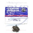 Termostato Johnson, Evinrude 0396987