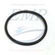 O-ring corpo pompa Yamaha, Selva 93210-49046