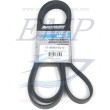 Cinghia servizi Mercruiser 865615Q10