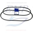 Cinghia servizi Volvo Penta 966702