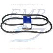 Cinghia servizi Volvo Penta 966391
