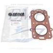 Guarnizione testata HP15, 25, 30 2T Selva 04002.00.86, 3505130