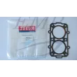 Guarnizione testata 25 2T Selva 05002.00.86 / 3505160