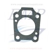 Guarnizione pompa acqua Tohatsu - Nissan 369-65029-0