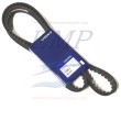 Cinghia distribuzione serie 22 Volvo Penta 859773
