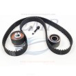 Kit cinghia distribuzione Volvo Penta EMP 31359568
