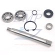Kit revisione pompa acqua 3593654 Volvo Penta 21951416