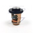 Termostato Yamaha 6H3-12411-11