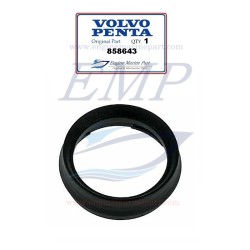 Cerchietto strumenti completo Volvo Penta 858643