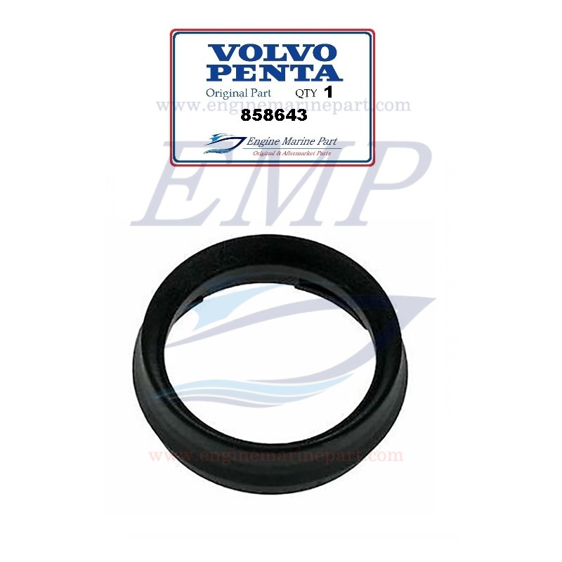 Cerchietto strumenti completo Volvo Penta 858643