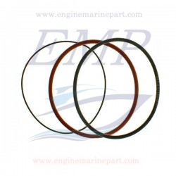 O-ring canne cilindro Volvo Penta EMP 875560