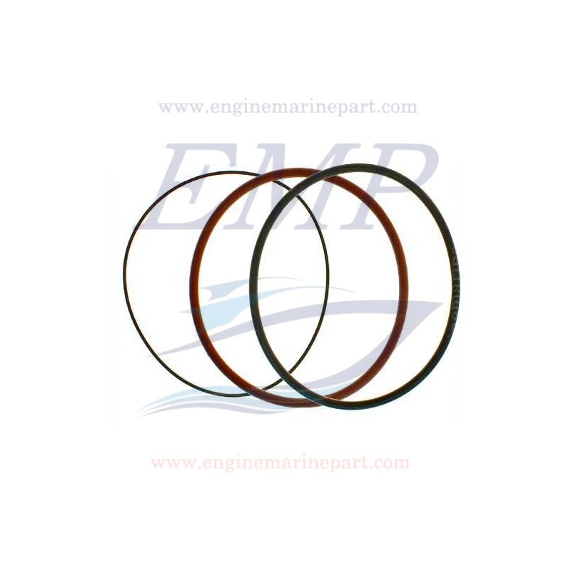 O-ring canne cilindro Volvo Penta EMP 875560