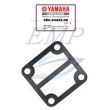 Guarnizione pompetta AC Yamaha 6E0-24435-00