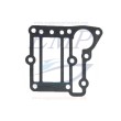 Guarnizione coperchio scarico esterno Yamaha 6E0-41114-A1