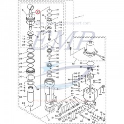 Paraolio stelo trim motore Yamaha, Selva 6H1-43812-00