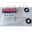 Paraolio 22x35x6.5 DT 2 tempi Selva 3555040