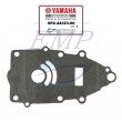 Piastrina corpo pompa Yamaha, Selva 6P2-44323-00