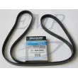 Cinghia servizi Mercruiser 865615Q04