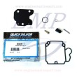 Kit riparazione caburatore Mercury, Mariner 8542561