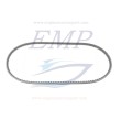 Cinghia alternatore Yanmar EMP 25132-004600