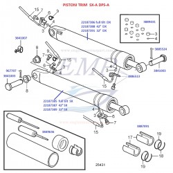 Pistone trim sinistro 42° Volvo Penta SX, DPS, 22187387