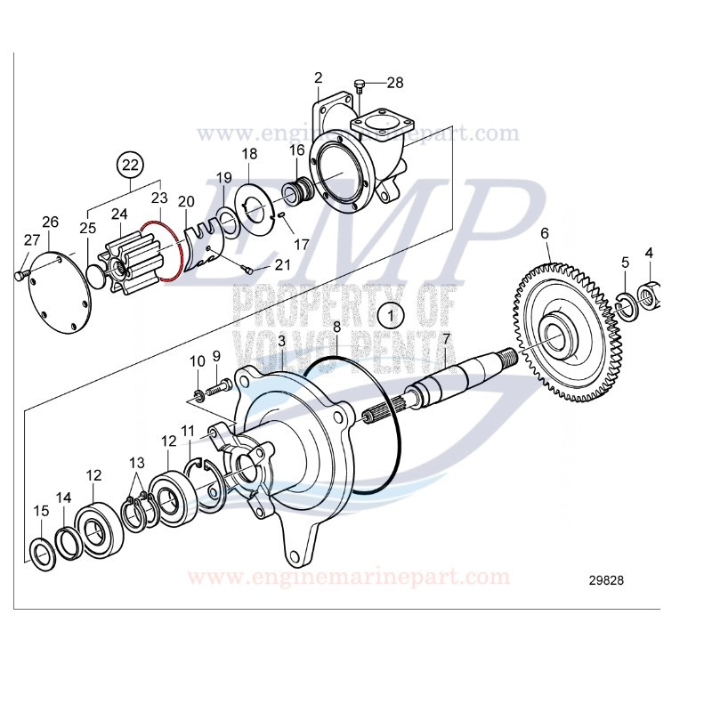 O-ring Corpo Pompa Volvo Penta 925259