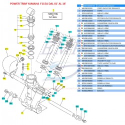 Ricambi power trim F115A dal 01' al 14' Yamaha, Selva