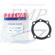 Guarnizione tappo inferiore motore 2T Selva 05539.00.82, 3520100