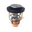 Termostato Yamaha, Selva 60V-12411-00