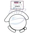 Guarnizione carburatore Johnson, Evinrude 0335076