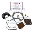 Kit revisione carburatore con galleggiante Johnson, Evinrude 0439079