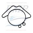Guarnizione carburatore Johnson, Evinrude 0332253