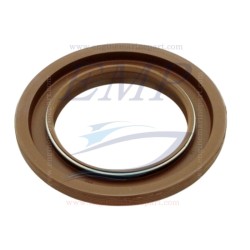 Paraolio piede Volvo Penta, OMC 3852901