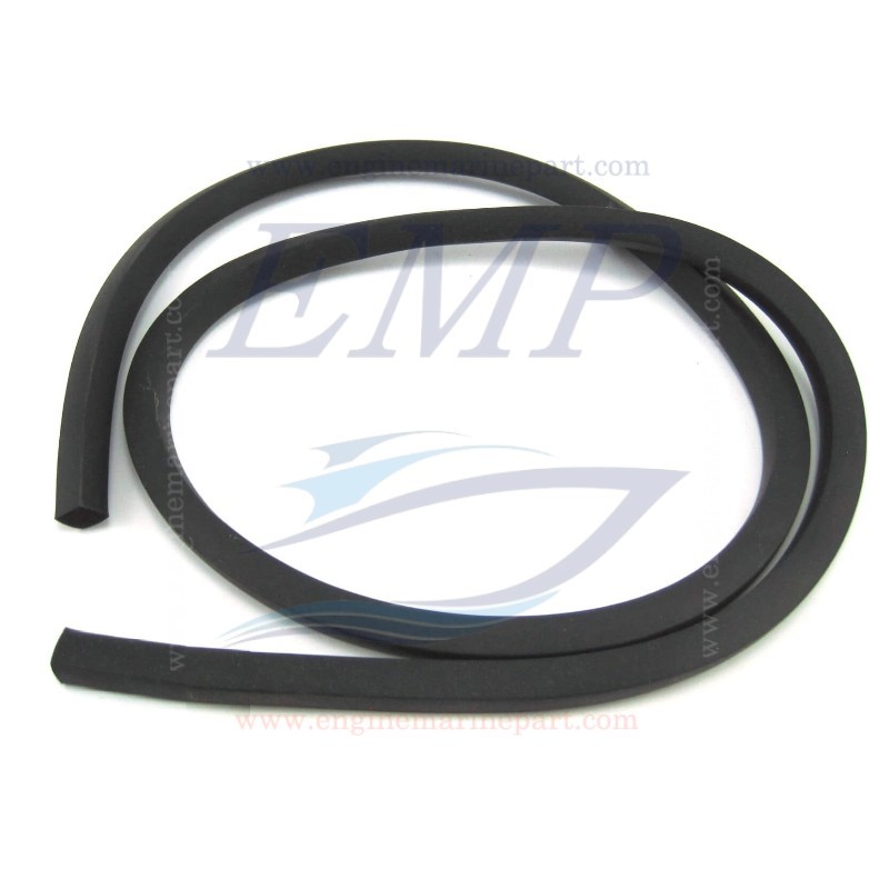 Guarnizione piastra di poppa OMC, Volvo Penta,3852850