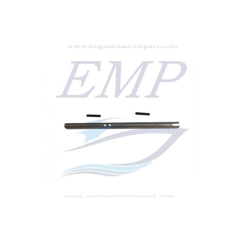 Alberino vite senza fine trim OMC, 3852850