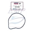 Guarnizione corpo pompa Johnson, Evinrude 0315788