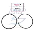 Segmenti pistone Johnson, Evinrude 0434107