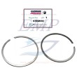 Segmenti pistone Johnson, Evinrude 0394930
